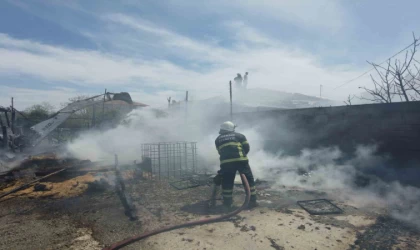 Edirne’de samanlık yangını eve sıçradı