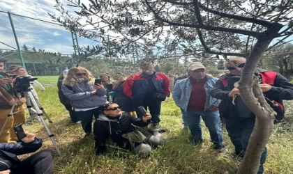 Edremit MYO’da zeytin aşılama eğitimi