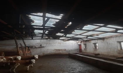 Elazığ’da etkili olan fırtına ahırın çatısını uçurdu