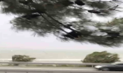 Elazığ’da fırtına etkili oldu