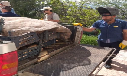 Elazığ’da kaçak avlanan 700 kilogram balık ele geçirildi