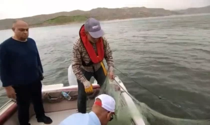 Elazığ’da kaçak avlanmayı önlemek için ekipler yoğun mesai harcıyor