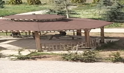 Elazığ’da kamelyalara zarar verdiler