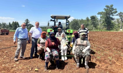 Emekçi kadınlar Anneler Gününü tütün tarlasında kutladı