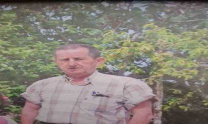 Emekli öğretmen her yerde aranıyor