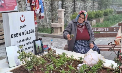Eren Bülbül’ün annesi Ayşe Bülbül, PKK’nın silah bırakmasını değerlendirdi: ”Eren’ler şehit edilmesin, hiçbir Ayşe anne ağlamasın diye onay veririm”
