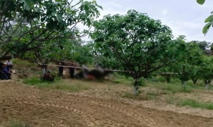 Germencik’te devrilen traktörün altında kalan şahıs hayatını kaybetti