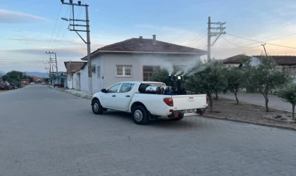 Germencik’te gece ilaçlamaları başladı