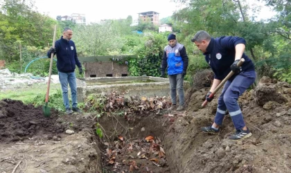 Giresun’da balık atıkları gübre ve yeme dönüşüyor