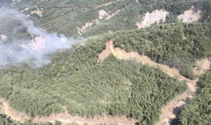 Gökçeada’da orman yangını