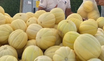 Gönen kavunu coğrafi işaret yolunda