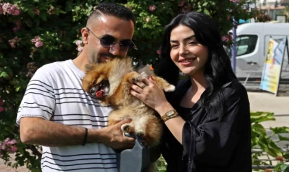 Güzellik yarışmasında birinci seçilip kaybolan köpek bulundu, sahipleri sevince boğuldu