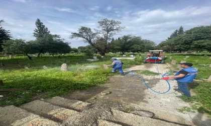 Hamzabali Mezarlığı bakıma alındı