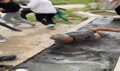 Hıdırellez Bayramı’na gelmeyen vatandaş ‘su oluğuna’ atıldı