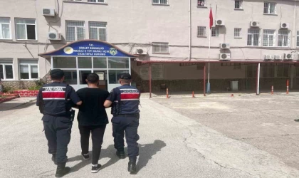 Jandarmadan aranan şahıslar operasyonu