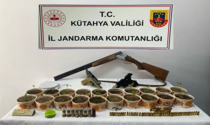 Jandarmadan kenevir operasyonu