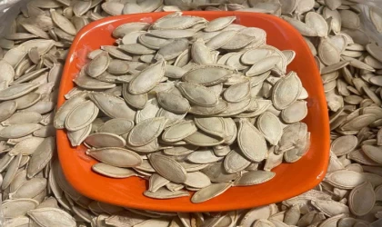 Kabak çekirdeğine ”Salmonella”, zencefile ”Bacillus cereus” nasıl bulaşıyor