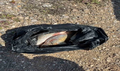 Kaçak Balık avı yapan 2 kişi yakalandı