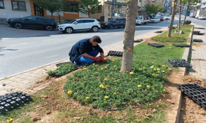 Kağıthane’de yeşil alanlarda bakım çalışması yapıldı