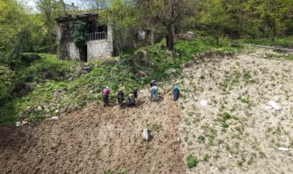 Karadeniz kadınının zorlu mesaisi başladı