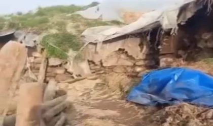 Kars’ta ahır çöktü: Büyükbaş hayvanlar telef oldu