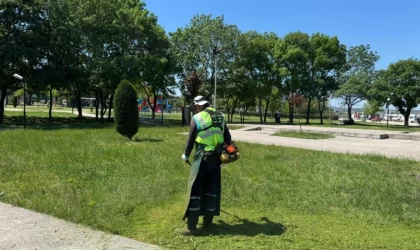 Kartepe’de yeşil alanlara düzenli bakım