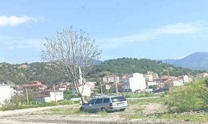 Kastamonu’da otomobil ağaca çarptı: 2 yaralı