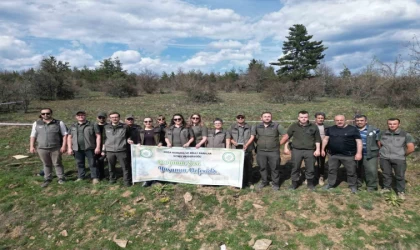 Kastamonu’da yaban hayatı için ormanlık alana fidan dikildi