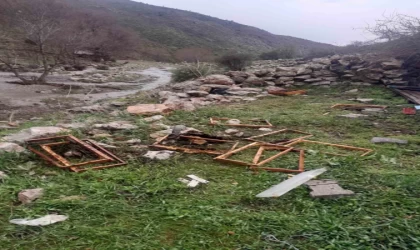 Kayseri’de ayılar arı kovanlarına saldırdı