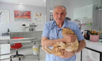 Kedisini veterinere yetiştirmeye çalışırken trafik cezası yedi, itiraz etti