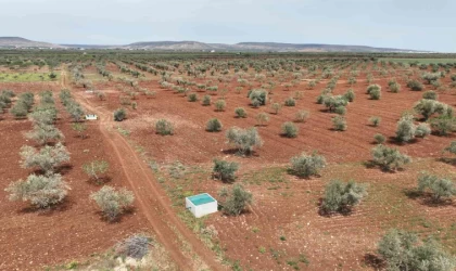 Kilis’te atık sular can suyuna dönüşüyor