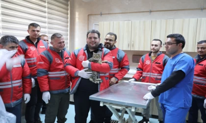 Kocasinan Belediyesi’nden veterinerlik personeline sertifikalı eğitim