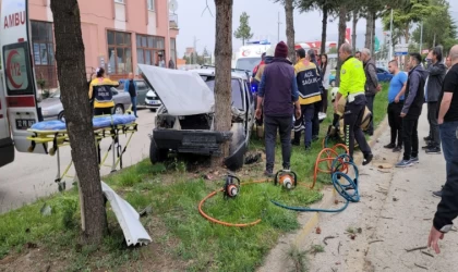 Kontrolden çıkan otomobil refüjdeki ağaca çarptı: 2 yaralı