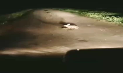 Korkmadı, kaçmadı... ”Ana yüreği korku tanımaz”