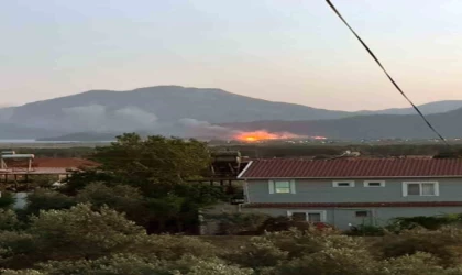 Köyceğiz’de sazlık alanda yangın çıktı