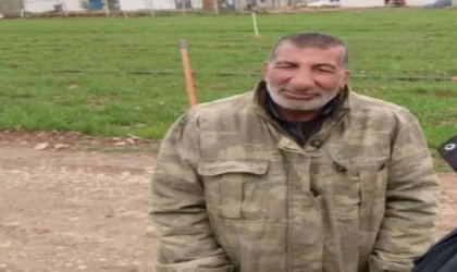 Koyun otlatırken hayatını kaybetti