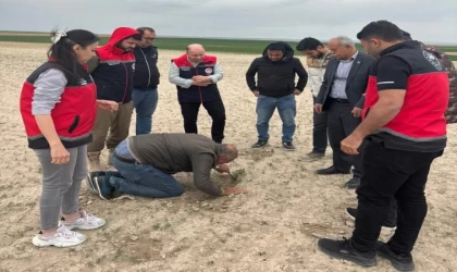 Kulu’da tarım alanlarında kontroller devam ediyor