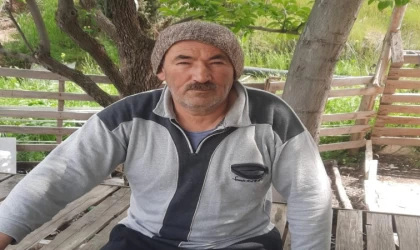 Kurt, kurbanlık kuzuları telef etti