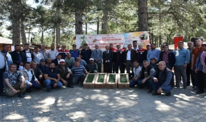 Kuyucak’ta 220 bin domates fidesi dağıtıldı