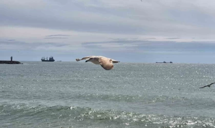 Limana hapsoldular: 5 gündür çıkamıyorlar