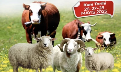 Malatya Büyükşehir Belediyesi’nden kurban kesim kursu