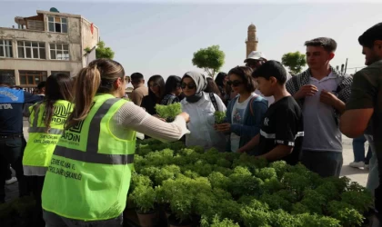 Mardin’de vatandaşlara 60 bin fesleğen dağıtıldı