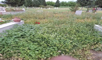 Mezarlıklar bayram öncesi sahipsiz kaldı