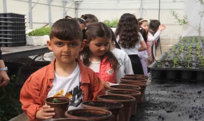 Minik öğrenciler seralarda doğayla buluştu