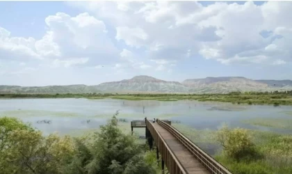 ‘Nilüfer Cenneti’ olarak bilinen o göl sportif olta balıkçılığına açıldı