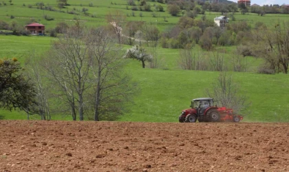 Ordu’nun atıl arazileri bereketleniyor: 34 bin 800 dekar atıl arazi tarıma kazandırıldı