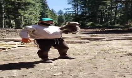 Orman işçilerinin yanına gelen yavru ayı koruma altına alındı