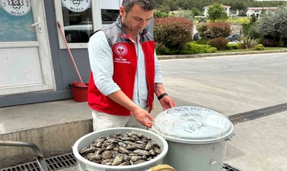 Otobüsün bagajında çöp kovasında taşınan 100 kilo midyeye el konuldu