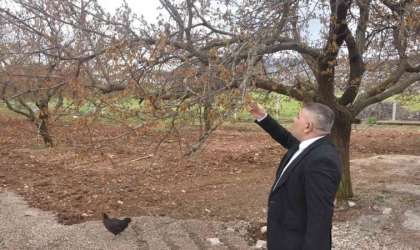 Sadıkoğlu: ”Verilecek destekler sadece kayısıyı değil, şehrimizin geleceğini ilgilendiriyor”