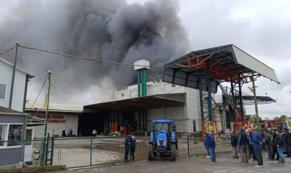 Sakarya’da fabrika yangını